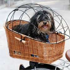 It usually comes in the form of either a basket with a cage fitted over the top, or a carry bag which may have a mesh flap to provide the owner the option to enable their dog to be fastened inside the bag or to sit with their. I Wonder How Luigi Would Do In One Of These Basil Dog Basket Biking With Dog Dog Bike Basket Dog Basket