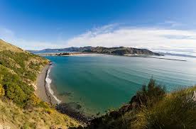 Maybe you would like to learn more about one of these? Why Dunedin Is New Zealand S Coolest Best Looking City Jonistravelling