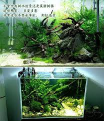 小號杜鵑根魚缸造景小根木頭沉木造景木草缸精選沉木莫斯樹窈窕木 aquascape aquarium