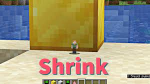 The world itself is filled with everything from icy mountains to steamy jungles, and there's always something new to explore, whether it's a witch's hut or an interdimensional portal. Shrink Mod 1 17 1 1 16 5 Small Player Minecraft Download