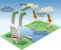 Penipisan lapisan ozon di udara (lapisan stratosfera), perubahan iklim, pengasidan atmosfera, penggurunan, kepupusan pelbagai spesies penghidupan dan pencemaran marin merupakan kesan aktiviti manusia terhadap alam sekitar. Berikan Kesan Yang Terjadi Akibat Fenomena Hujan Asid Di Malaysia