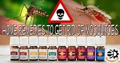 Light a camphor ball and keep it near the doors and windows. How To Get Rid Of Mosquitoes Inside The House Naturally Ways To Get Rid Of Mosquitoes Naturally