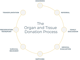 Image result for Tissue Donation