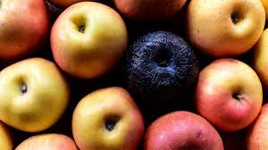 Never Underestimate The Impact Of A Single Rotten Apple Bad Apple Apple Giving Up On Life