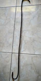 Gantung sangkar dan tetap perhatikan pakan dan. Cara Membuat Cantolan Kandang Burung Paling Mudah Ketikanku