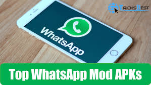 We are living in a modern life where many people have built careers over creating videos on youtube, facebook, and even tiktok. Whatsapp Mod Apk Android 2 3