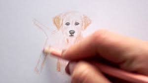 Schablonen wand ausdrucken neu airbrush schablonen zum ausdrucken. Labrador Welpen Zeichnen Lernen Hunde Malen How To Draw A Puppy Dog Kak Narisovat Sobaku Youtube