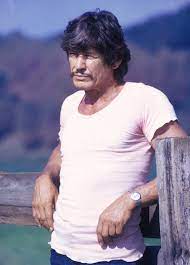 Charles bronson was born charles dennis buchinsky on 3 november 1921, in ehrenfeld, pennsylvania, usa, to walter buchinsky and mary valinsky. Charles Bronson Biographies Movies Facts Britannica