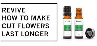 Essential oils contain the essence of a particular plant the right essential oils provide not just the flowery scent that calms your mind, but also the soothing effect to relax your muscle and nerves. How To Make Cut Flowers Last Longer With Revive Tea Tree Revive Essential Oils