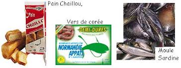 Comment Pecher Au Coup En Mediterranee Et En Bord De Mer