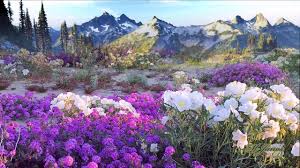 Celebrate and remember the lives we have lost in carthage, missouri. Flowers Of The Forest Mike Oldfield