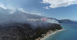 Jun 06, 2021 · βλέποντας εγώ τον άντρα μου, φροντίζω να σηκωθώ, λέω ''μου τον σκότωσαν τώρα!''.» η σύζυγος του εκπαιδευτή νοσηλέυτηκε με σοβαρούς τραυματισμούς μετά το περιστατικό. Pyrkagia To Mege8os Ths Katastrofhs Sto Alepoxwri Apo Pshla In Gr