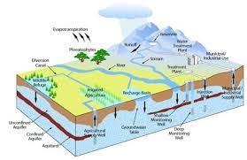 Ground Water And Runoff Hydrology Groundwater Environmental Education