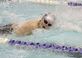 A swimming pool liner is fabricated using multiple sheets of vinyl seamed together. Category Swimming Louisburg Sports Zone