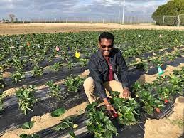 Integrated pest management, or ipm, is a method you'll be able to use to solve pest problems whereas minimizing risks to people and therefore the setting. Integrated Pest Management The Future Of Ag Freshfruitportal Com