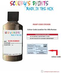 Image result for Marrone Castlerock 2008 Alfa-Romeo