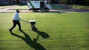 If the thought of cutting your own grass makes you itchy, you'll want to hire someone to do it for you. Trugreen Turnaround Marks Memphis Success Story