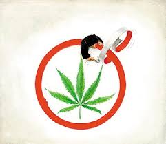 Por otro lado, lo cierto es que son varios los estudios científicos que, especialmente durante los últimos años, han demostrado los beneficios de la marihuana para nuestro. La Marihuana Como Alternativa Para Enfrentar Una Crisis Economica Economia Y Sociedad