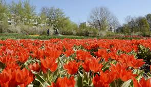 Museen musik familie bühne sport hier finden sie.veranstaltungskalender. Garten Der Welt Das Grun Des Ganzen Globus In Einem Park