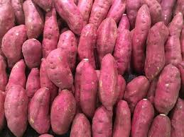 Batata Japon Purple Sweet Potatoes Growing Sweet Potatoes Sweet Potato Benefits