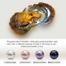 New 1pc Akoya Pearl Oysters With Real Pearl 7 8mm Freshwater Vacuum Packaging We Real Pearls Oyster Pearl Akoya Oysters