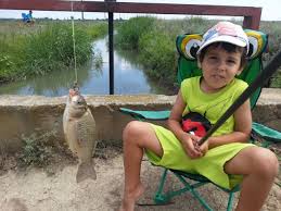 :bobita si buburuza, povesti copii, vendel, vendel la patinaj. Mihai Bobonete Despre Pescarii Care Fura Peste De Pe Balti Pe Bune Exista Asa Fomisti