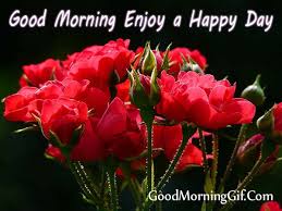 Best good morning hd flower images for whatsapp friends. 30 Good Morning Rose Images Photo For Whatsapp Facebook Pinterest