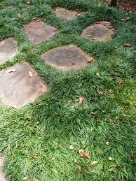 Pin On Backyard Landscaping