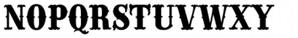 Cactus majestically blooming in the desert is truly a wondrous event! Cactus Flower Sg Solid Font What Font Is