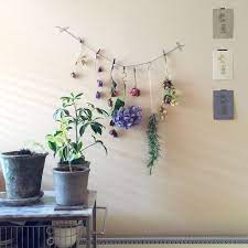 ローズマリー 紫陽花ドライ カポック 庭の花 花のある暮らし などのインテリア実例 2015 06 22 10 57 03 roomclip ルームクリップ ドライフラワー 部屋 インテリア インテリア