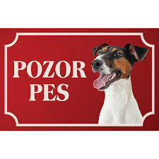 Image result for foxteriér hladkosrstý