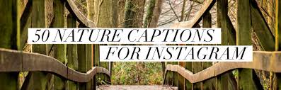 50 Best Nature Captions For Instagram Travelers Around The World