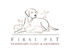 It is sustained by the. First Pet Veterinary Clinic And Grooming In Sixth Circle Amman Jordan