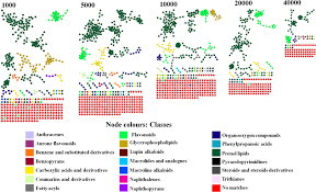 Image result for Momordica cardiospermoides
