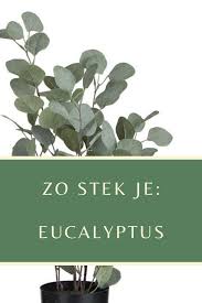 Pin Op Groen Stekken