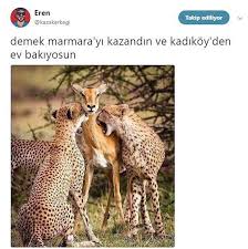 Anlamli Dusundurucu Eglenceli Guzel Komik Konusan Resimler Konusan Resimler Www Kizlarinsirlari Club Komik Seyler Mizah Komik