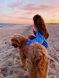 Lilyoconnorrr Pureluxuriess Dog Photoshoot Dog Beach Girl And Dog
