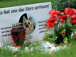 In der regel darf man hunde, katzen und andere haustiere in deutschland im eigenen garten ganz legal bestatten. Tierfriedhofe In Sh Wo Der Hund Begraben Liegt Das Geschieht Mit Bello Und Pfiffi Nach Dem Tod Shz De
