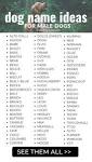 Male Dog Names | Complete A to Z List