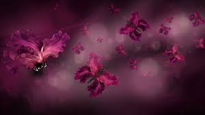 The most common dark wine flower material is glass. Image Butterflies Dark Red Irises Flowers 2560x1440