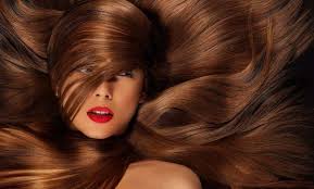 فوائد السدر للشعر Hair Styles Silky Hair Hair Growth Shampoo