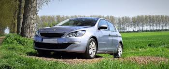 Image result for Noyer American Nacre 2014 Peugeot