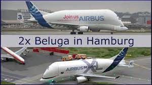 Much like the animal it is named after, the beluga xl has a distinctive hump to its shape that is larger than. Airbus Beluga Xl Miniversion Vs Beluga St At Finkenwerder Youtube