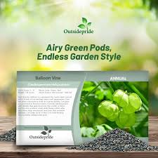 Image result for Cardiospermum halicacabum