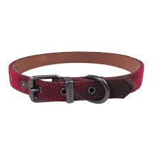 Free delivery on eligible orders! Joules Red Tweed Leather Collar Various Sizes Dog Collars Webbs Garden Centre