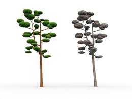 10 Low Poly Cartoon Tree Cartoon Trees Cartoon Styles Animation Design