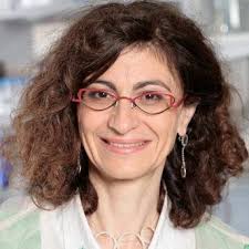 Day 2 of 14th #Epigenetics course: celebrating #InternationalWomensDay with  #WomenInScience for our 1st session: Chairs Angela Taddei & Ines  Drinnenberg and speaker Céline Vallot, all group leaders @institut_curie!  #WomenInSTEM