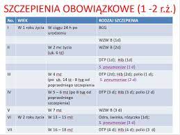 Szczepionka jest preparatem biologicznym, którego celem jest pobudzenie organizmu do zwalczania chorobotwórczych. Kalendarz Szczepien Sprawdz Wazne Terminy Szczepionka Info