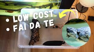 Ecco come ho costruito un bel laghetto per le mie povere tartarughe costrette a vivere in una piccola vaschetta. Acquario Per Tartarughe D Acqua Dolce Fai Da Te Tartaguida