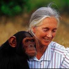 Jag var svartsjuk på Tarzans Jane